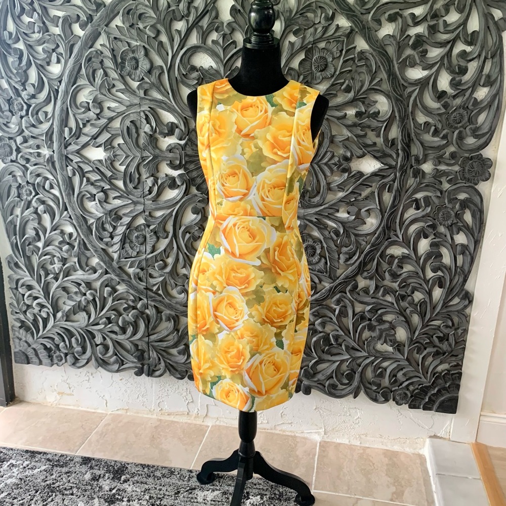 Calvin Klein Sheath Dress